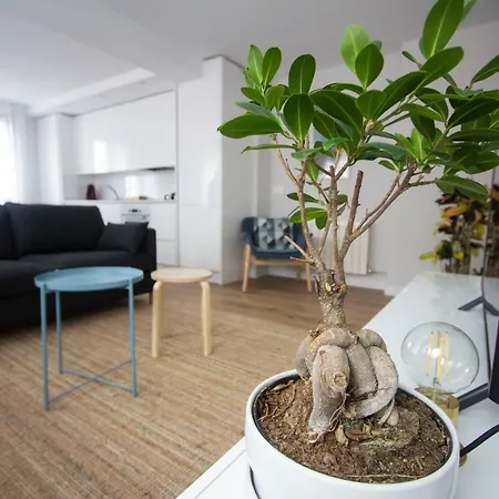 Anki - A 4 Pasos De La Catedral - Vut 09/96 Appartement