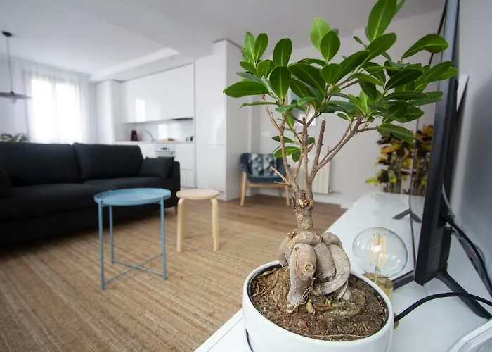 Anki - A 4 Pasos De La Catedral - Vut 09/96 Appartement